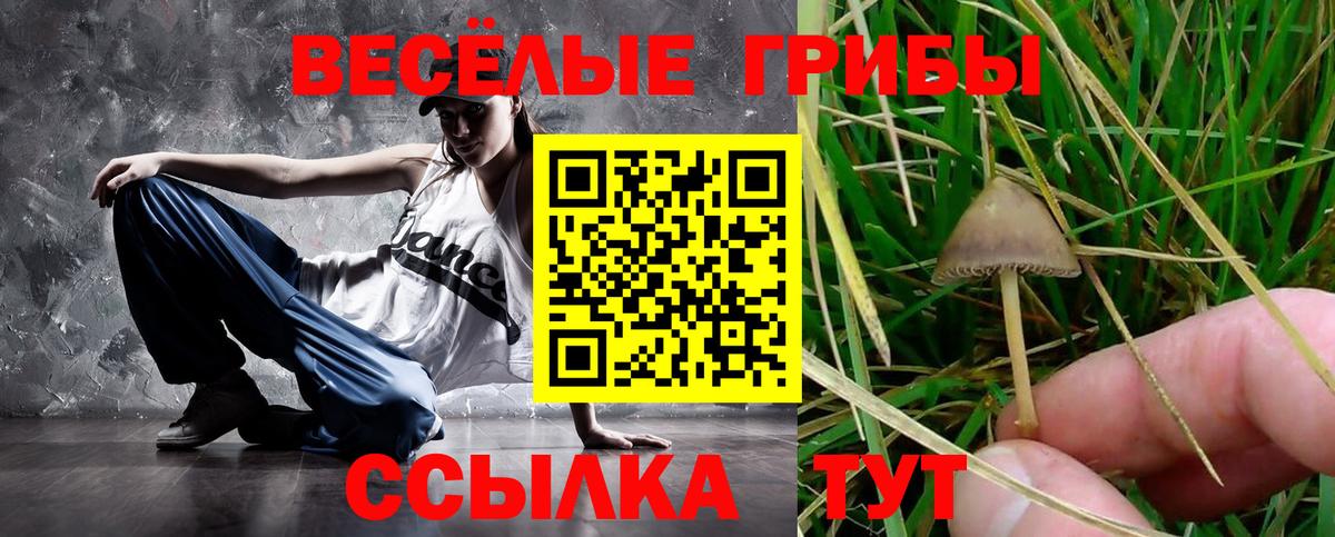Галлюциногенные грибы GOLDEN TEACHER Моздок