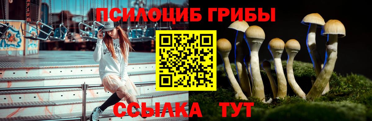 Галлюциногенные грибы мухоморы  Вход с VPN  Моздок 